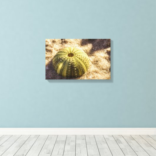 Zee Urchin op nat zeeen zand Canvas Print (Insitu (Houten vloer))