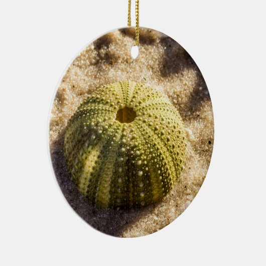 Zee Urchin op strand Keramisch Ornament (Rechts)