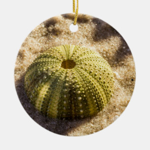 Zee Urchin op strand Keramisch Ornament