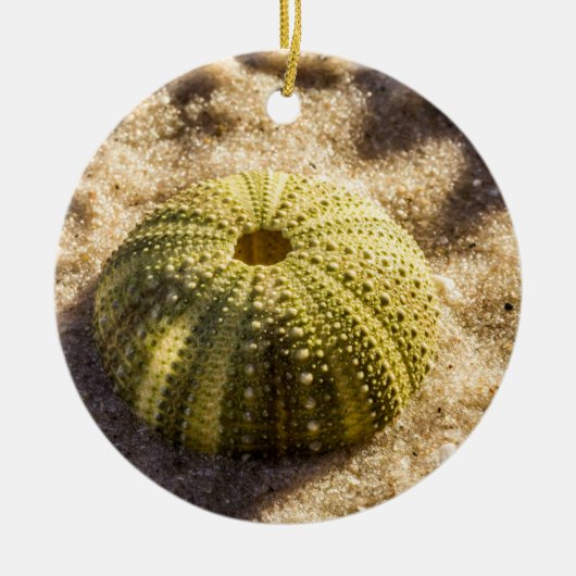 Zee Urchin op strand Keramisch Ornament (Voorkant)