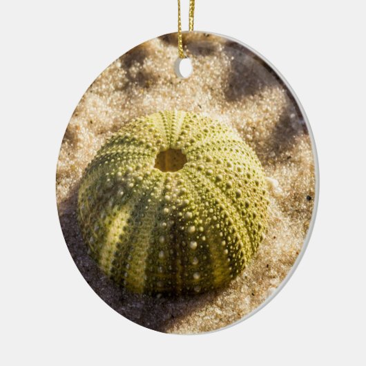 Zee Urchin op strand Keramisch Ornament (Links)