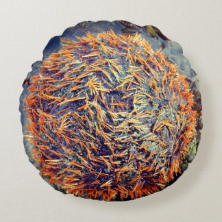 Zee Urchin Rond Kussen