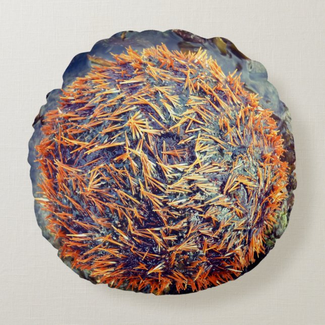 Zee Urchin Rond Kussen (Voorkant)
