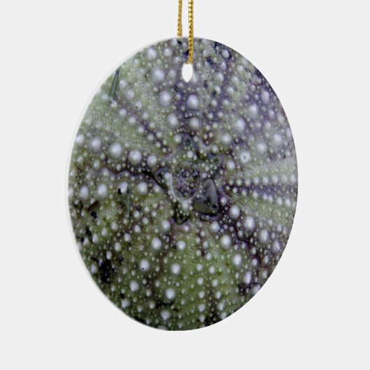 Zee Urchin Seashell Keramisch Ornament (Rechts)