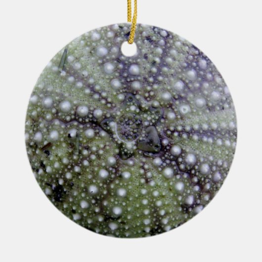 Zee Urchin Seashell Keramisch Ornament (Voorkant)