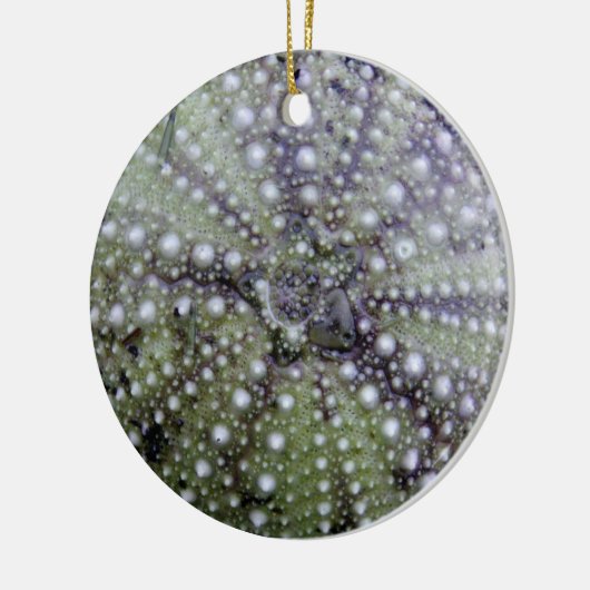 Zee Urchin Seashell Keramisch Ornament (Links)