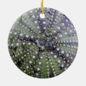 Zee Urchin Seashell Keramisch Ornament (Achterkant)