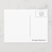 Zee Urchin Shell op het Zand Briefkaart (Achterkant)