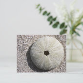 Zee Urchin Shell op het Zand Briefkaart (Staand voorkant)