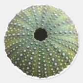 Zee Urchin Shell Ronde Sticker (Voorkant)