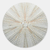 Zee Urchin Stickers (Voorkant)