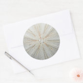 Zee Urchin Stickers (Envelop)