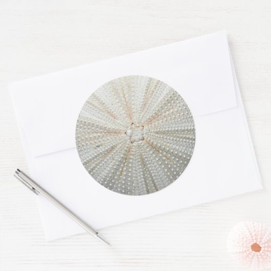 Zee Urchin Stickers (Envelop)