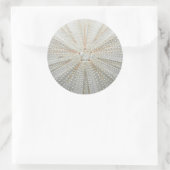 Zee Urchin Stickers (Tas)