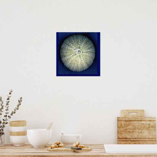 Zee Urchin Wall Poster (Keuken)