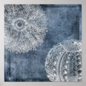 Zee Urchin Waterverf Ocean Navy Blue White Poster (Voorkant)