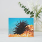 Zee ​ ​ urchine briefkaart (Staand voorkant)