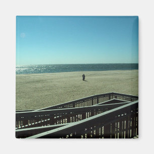 zee-urchinen magneet