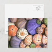 Zee Urchins Briefkaart (Voorkant / Achterkant)