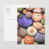 Zee Urchins Briefkaart (Voorkant / Achterkant)