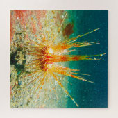 Zee Urchins Legpuzzel (Horizontaal)