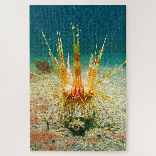 Zee Urchins Legpuzzel (Verticaal)
