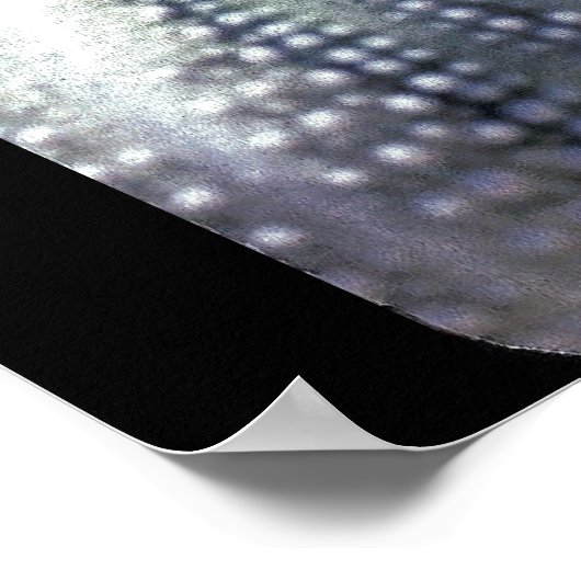 ZEE URCHINS POSTER (Hoek)