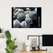 ZEE URCHINS POSTER (Thuiskantoor)