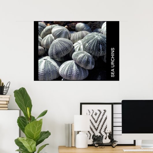 ZEE URCHINS POSTER (Thuiskantoor)