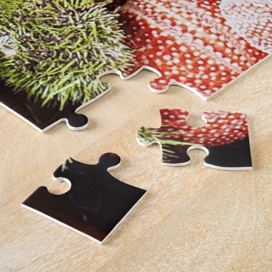 Zee urchins puzzel (Zijkant)