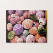 Zee urchins puzzel legpuzzel (Horizontaal)