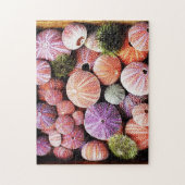 Zee urchins puzzel legpuzzel (Verticaal)