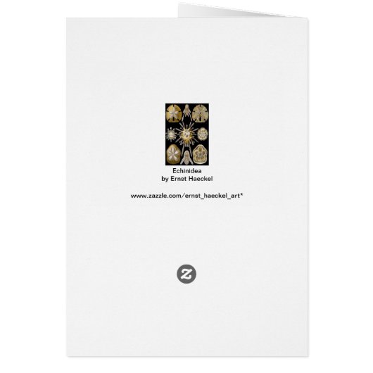  Zee Urchins Zanddollars van Ernst Haeckel (Achterkant)
