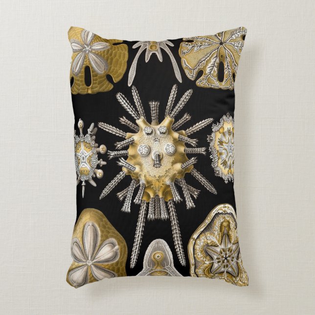  Zee Urchins Zanddollars van Ernst Haeckel Accent Kussen (Voorkant(Verticaal))