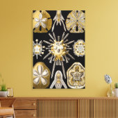 Zee Urchins Zanddollars van Ernst Haeckel Canvas Afdruk (Insitu (Woonkamer))