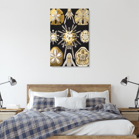  Zee Urchins Zanddollars van Ernst Haeckel Canvas Afdruk (Insitu (Slaapkamer))