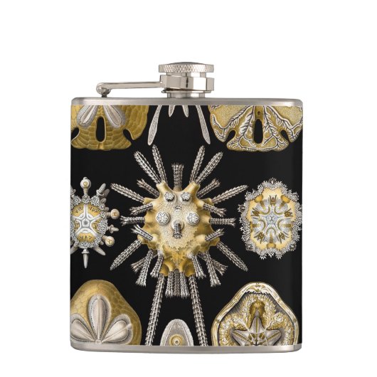  Zee Urchins Zanddollars van Ernst Haeckel Heupfles (Voorkant)