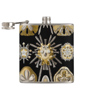  Zee Urchins Zanddollars van Ernst Haeckel Heupfles