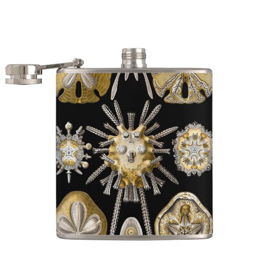 Zee Urchins Zanddollars van Ernst Haeckel Heupfles (Geopend)