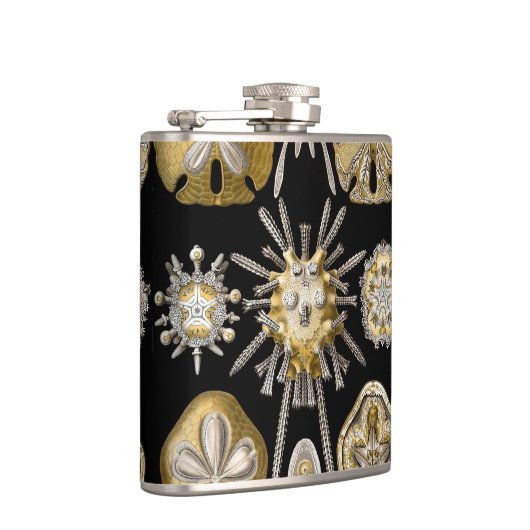 Zee Urchins Zanddollars van Ernst Haeckel Heupfles (Rechts)