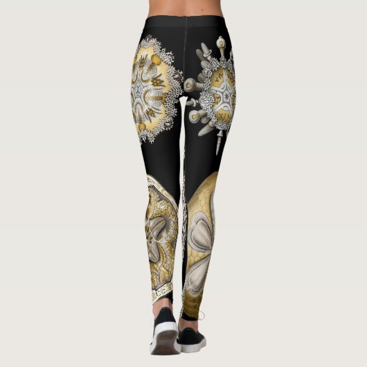  Zee Urchins Zanddollars van Ernst Haeckel Leggings (Achterkant)