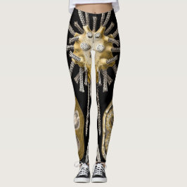  Zee Urchins Zanddollars van Ernst Haeckel Leggings