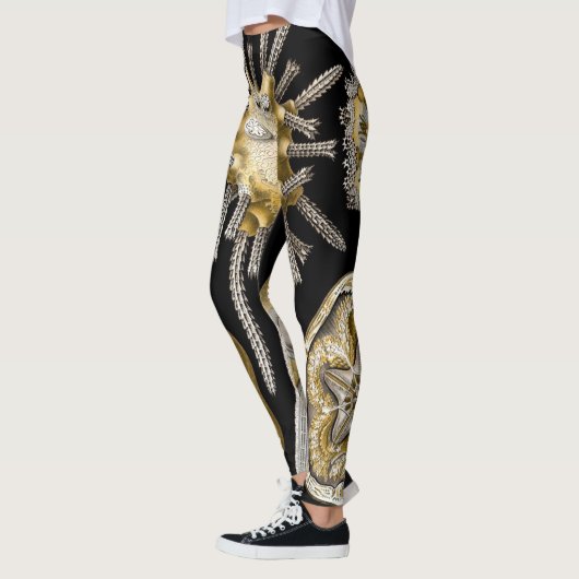  Zee Urchins Zanddollars van Ernst Haeckel Leggings (Links)