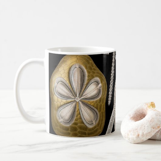  Zee Urchins Zanddollars van Ernst Haeckel Mok (Met donut)