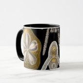  Zee Urchins Zanddollars van Ernst Haeckel Mok (Voorkant links)