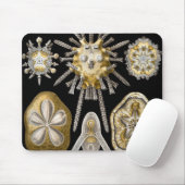 Zee Urchins Zanddollars van Ernst Haeckel Muismat (Met muis)