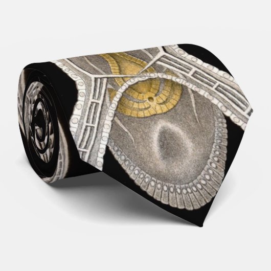  Zee Urchins Zanddollars van Ernst Haeckel Stropdas (Opgerold)