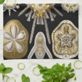  Zee Urchins Zanddollars van Ernst Haeckel Theedoek (Gevouwen)