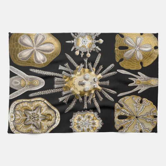  Zee Urchins Zanddollars van Ernst Haeckel Theedoek (Horizontaal)