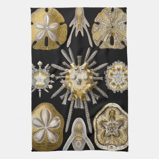  Zee Urchins Zanddollars van Ernst Haeckel Theedoek (Verticaal)